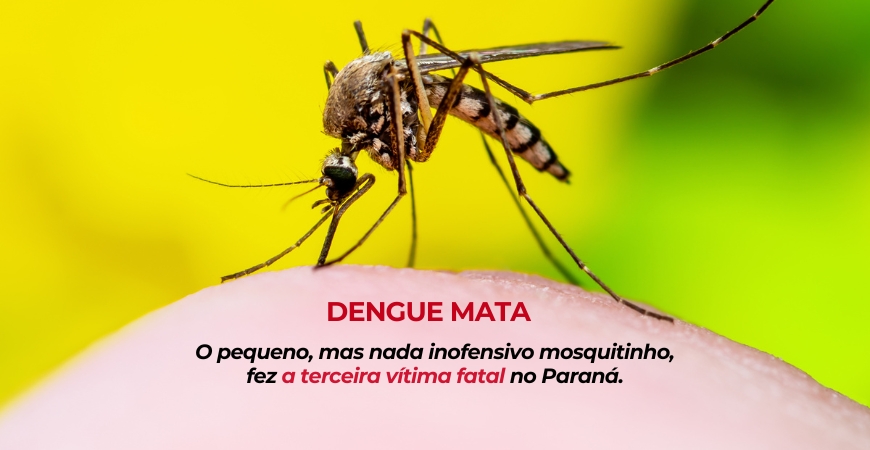 Capa do artigo