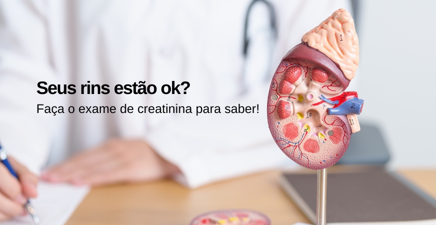 Capa do artigo