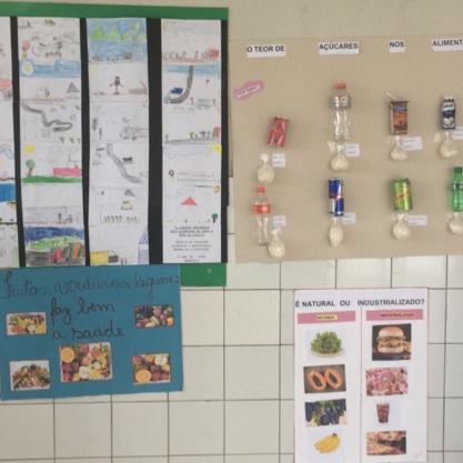 Projetos de educação alimentar e nutricional.
