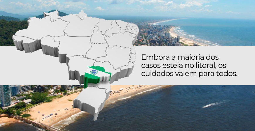 Capa do artigo